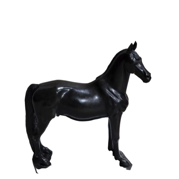Black Beauty - Image 2