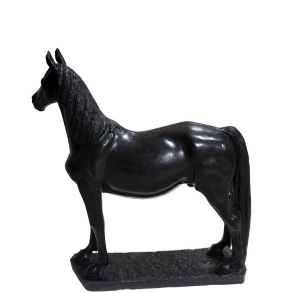 Black Beauty
