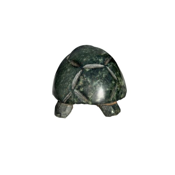 Kamba 2 Tortoise Green - Image 2