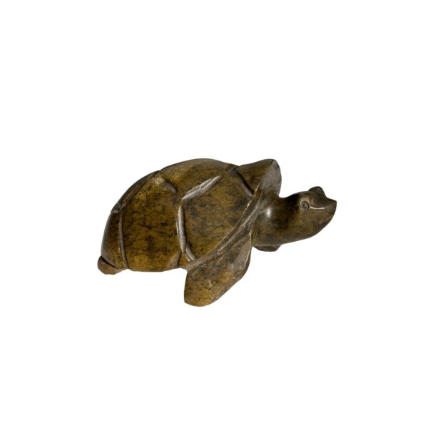 Kamba 3 Tortoise Brown Medium